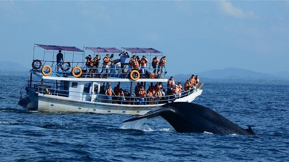 Boat Rides in Sri Lanka